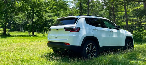 森の中のSUV車の写真