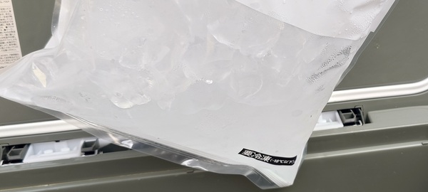 icebox 4時間後の氷の状態の写真