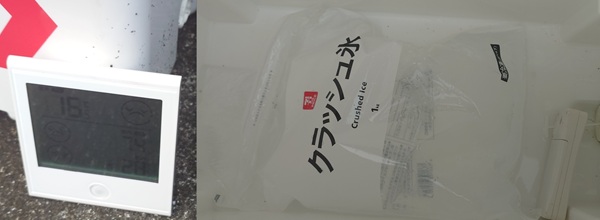 朝6時 シークール内の氷の写真