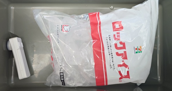 テストに使用した粒のおおきな氷の写真