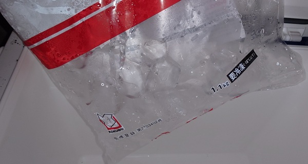 12時間後のクールラインの氷の写真